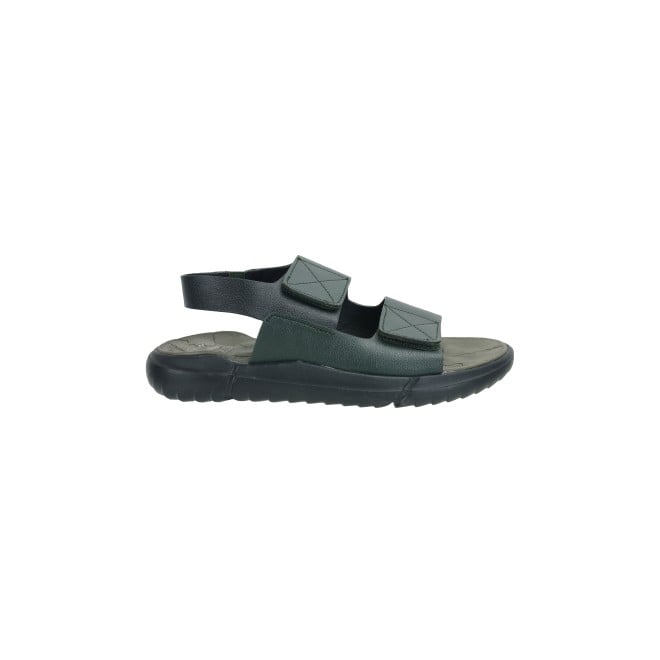 Kittens Boys Olive Casual Sandals (SKU: 74-396-49-32)