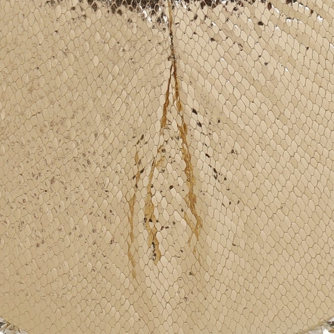 Cheemo Women Gold Evening Bag (SKU: 77-279-15-10)